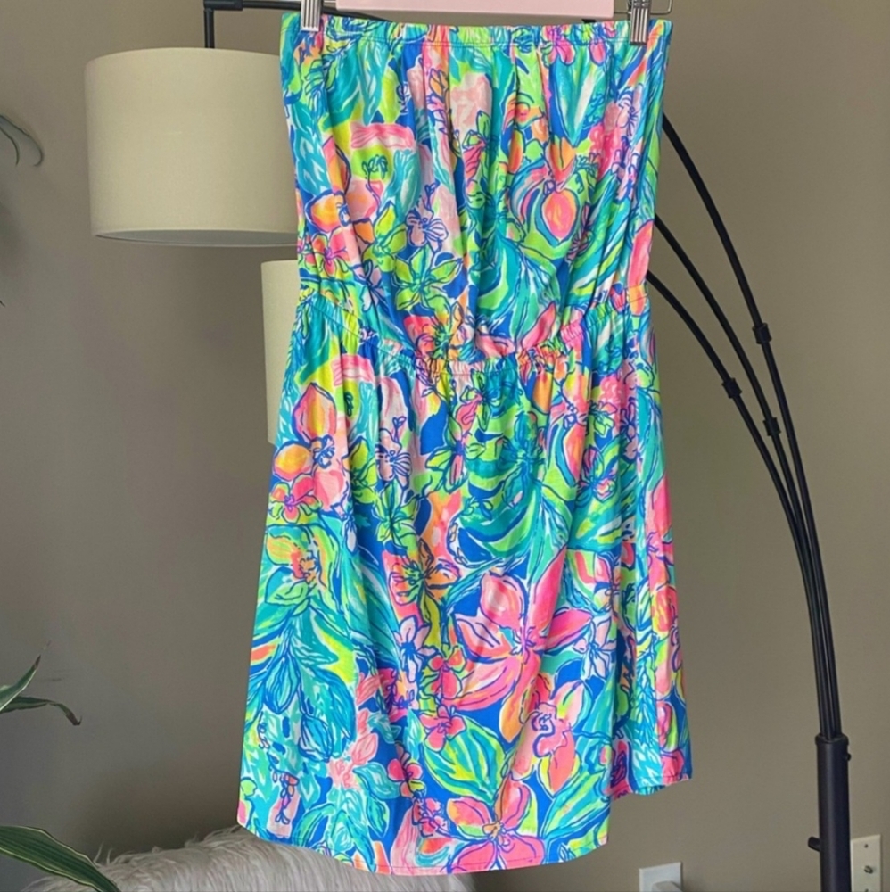 Lilly Pulitzer Windsor Dress